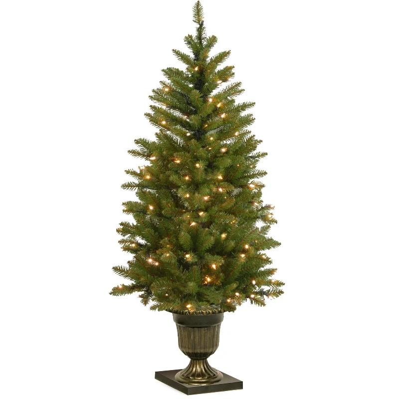 4 ft. Pre-Lit Dunhill Fir Entrance Tree with Clear Lights