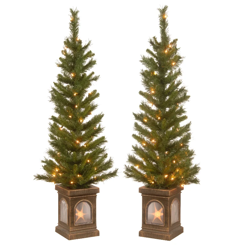 4 ft. Pre-Lit Leigh Valley Tree Set with Clear Lights