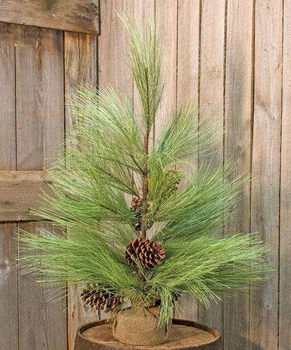 Long Needle Pine Tree, 30"